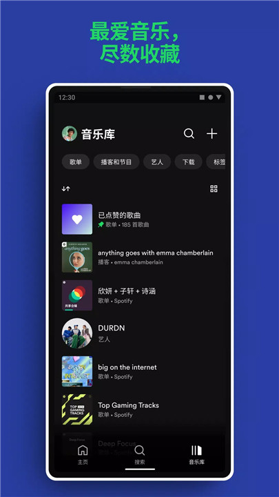 Spotify6