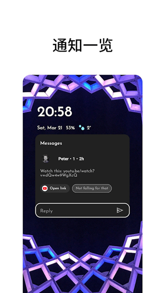niagara launcher6