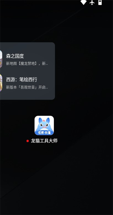 龙猫水印大师截图