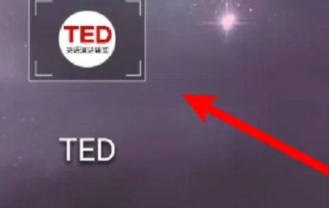 ted正版截图