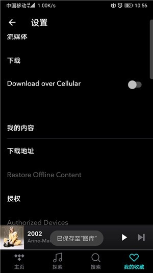 tidal音乐2