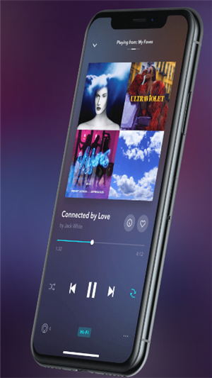 tidal音乐4