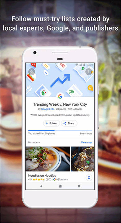 googlemaps4