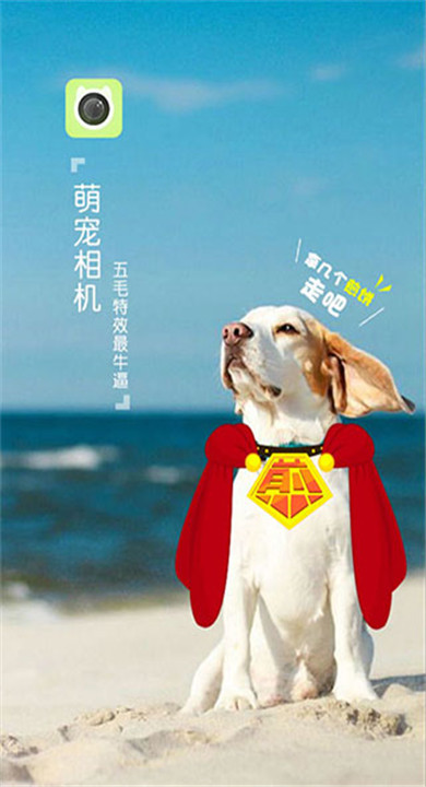 萌宠相机1