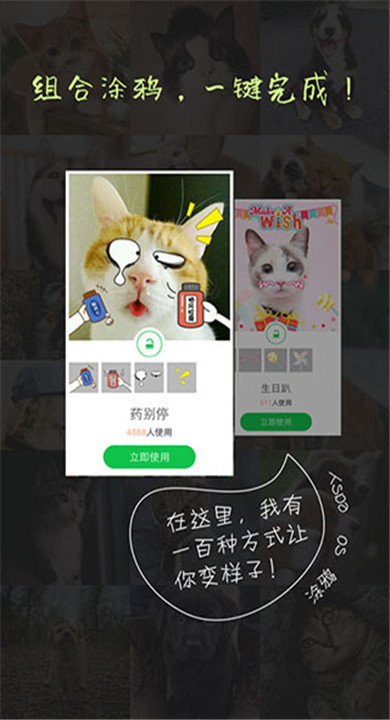 萌宠相机3