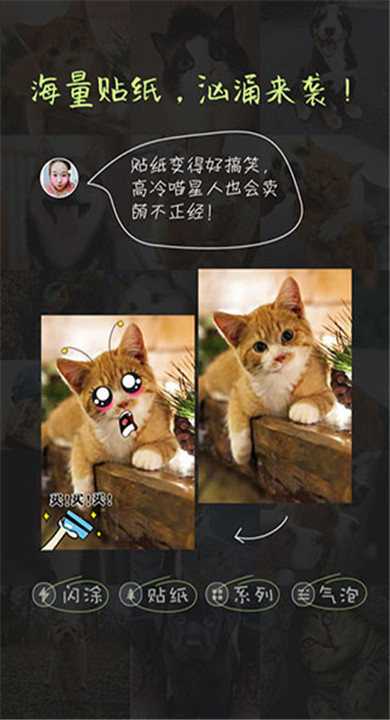 萌宠相机4