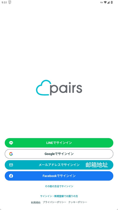 pairs软件