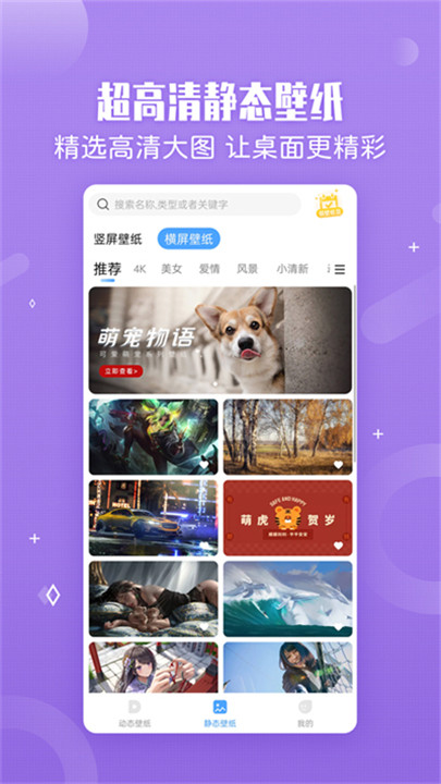 小鸟壁纸app2