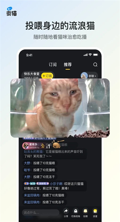 哈啰街猫app3