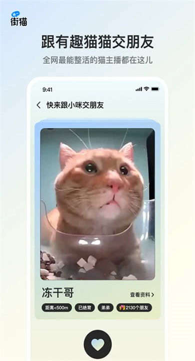 哈啰街猫app4