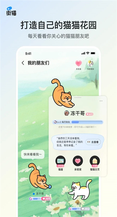 哈啰街猫app5