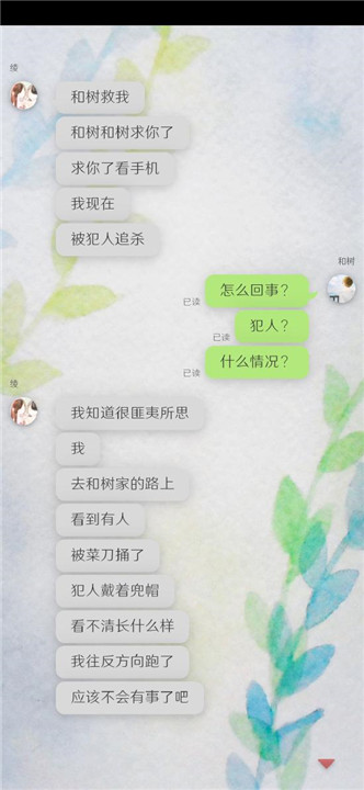 我的女友在被人追赶