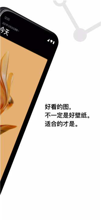 cuto壁纸2