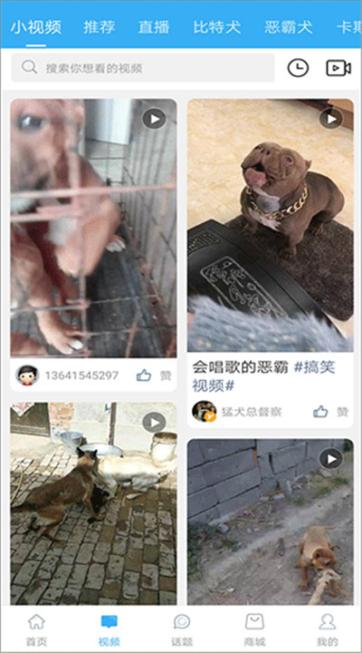 猛犬俱乐部软件下载3