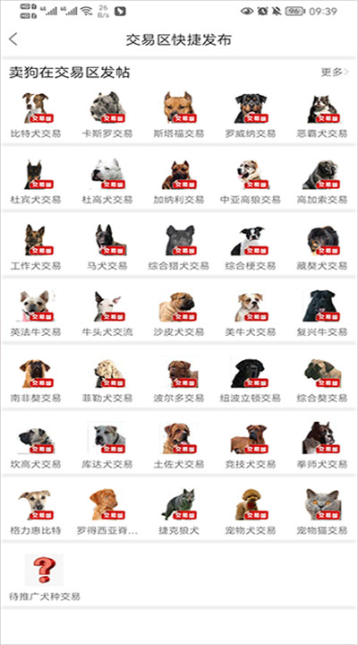 猛犬俱乐部软件下载