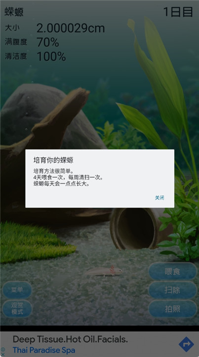 治愈的蝾螈育成游戏