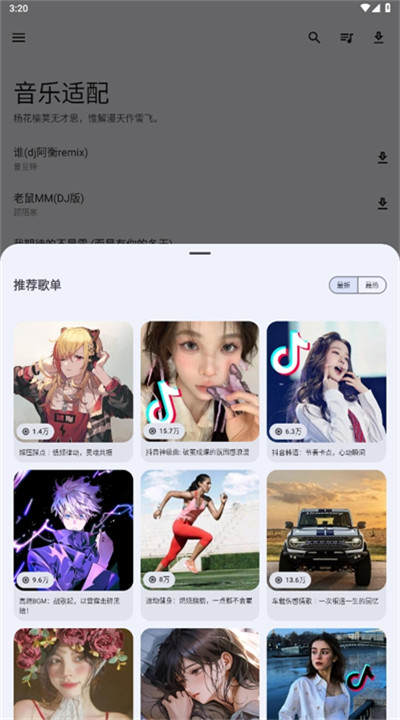 音乐适配手机版3