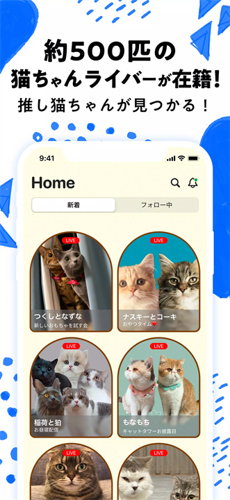 nekochan软件2