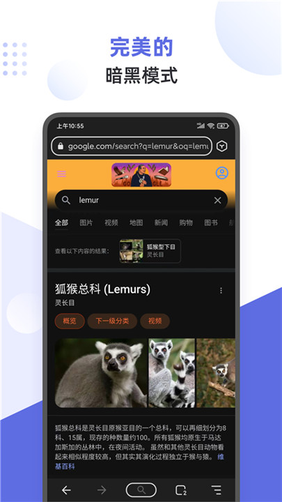 狐猴浏览器3