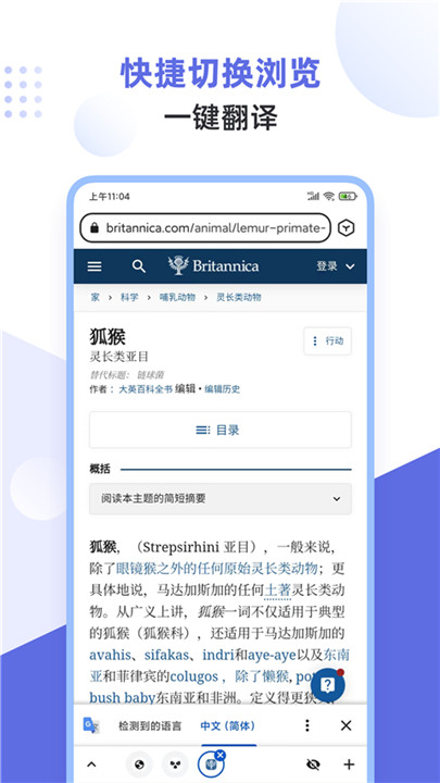 狐猴浏览器5
