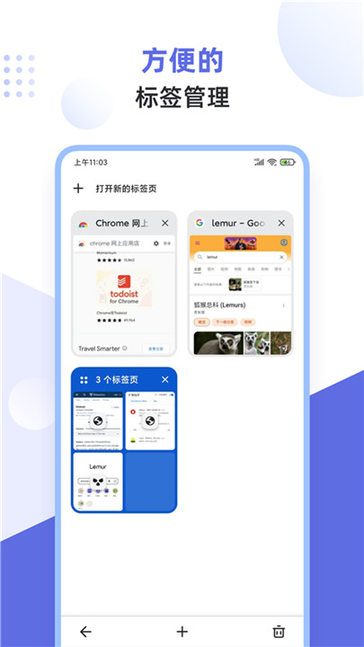 狐猴浏览器4