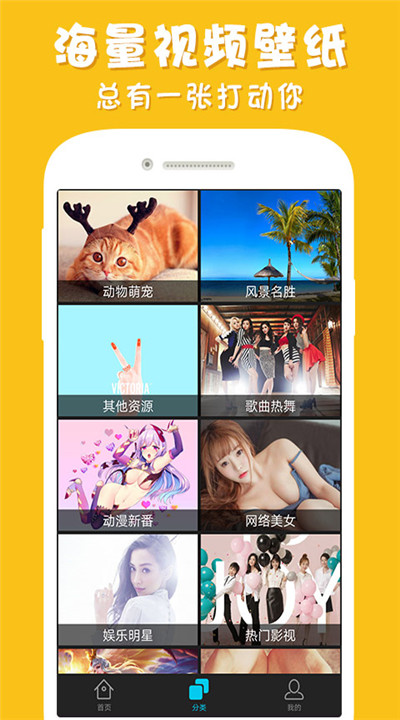 彩蛋视频壁纸3