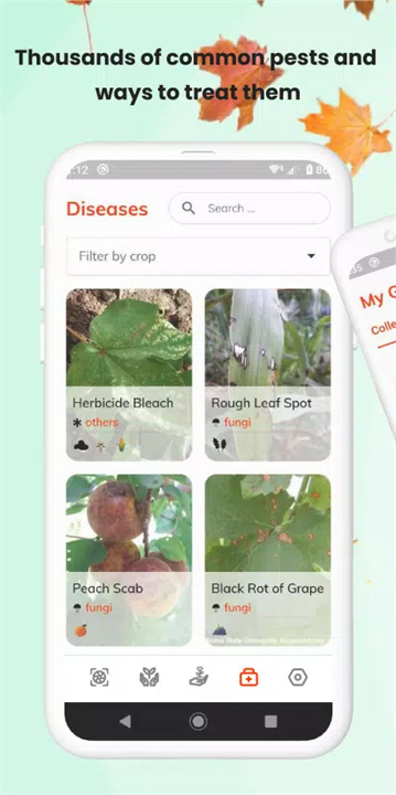 植物识别app3