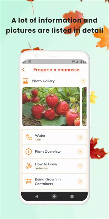 植物识别app5