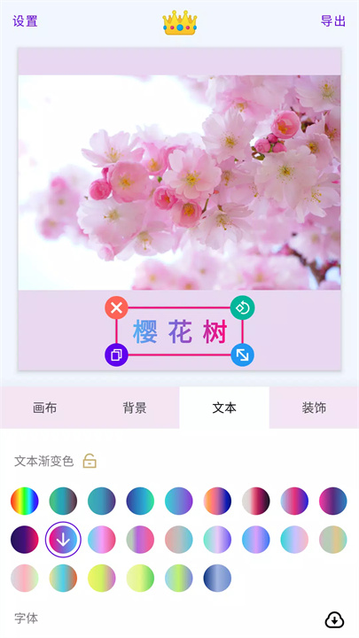 白边框app5
