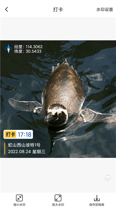 打卡定位安卓版2