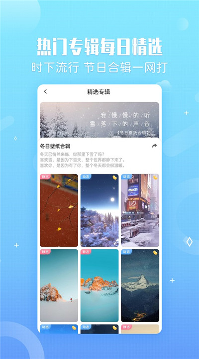 360小鸟壁纸下载2