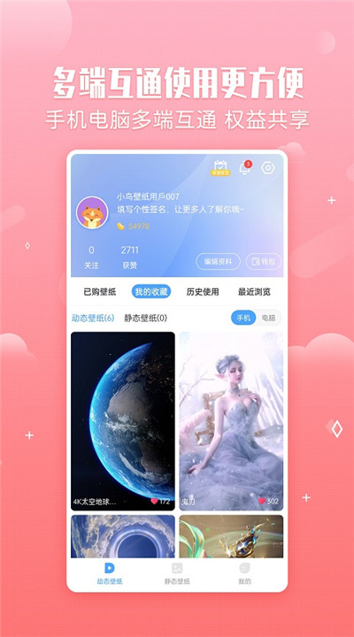 360小鸟壁纸下载3