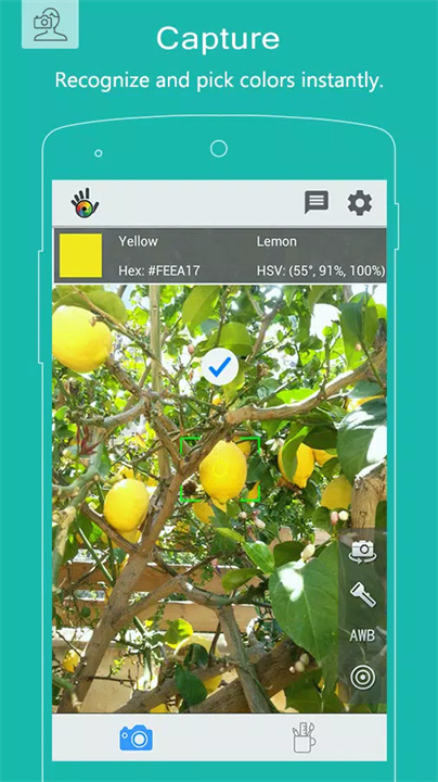 colorgrab1