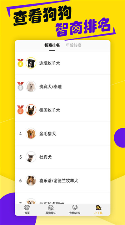 狗语翻译器下载2