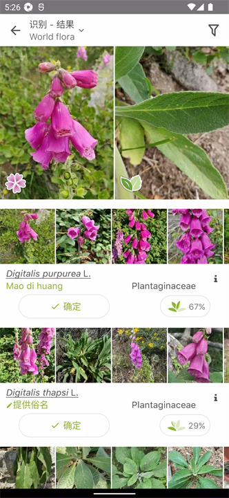 plantnet软件6