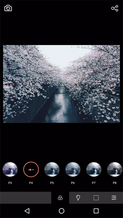 analogfilm salmon相机1