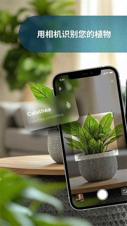 植物护理app1