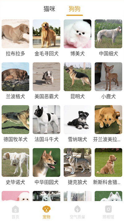 韶光相机手机下载2