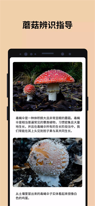 蘑菇识别扫一扫软件中文版4