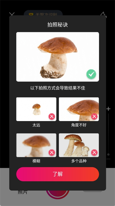 蘑菇识别扫一扫软件中文版