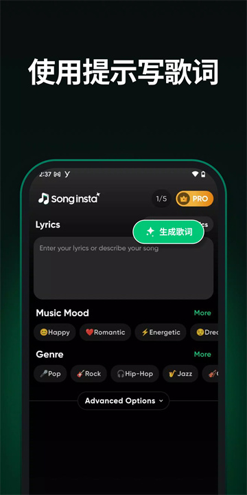 songinsta软件2