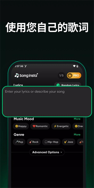 songinsta软件3