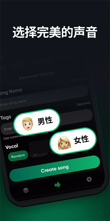 songinsta软件5