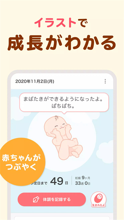tomonite软件5