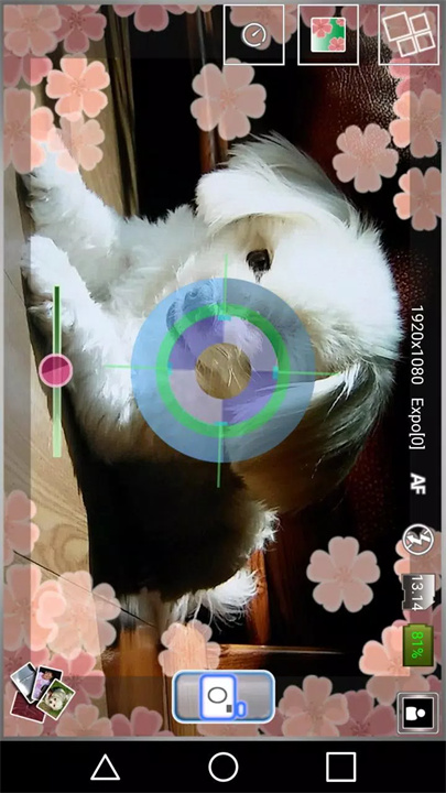 cherry camera软件5
