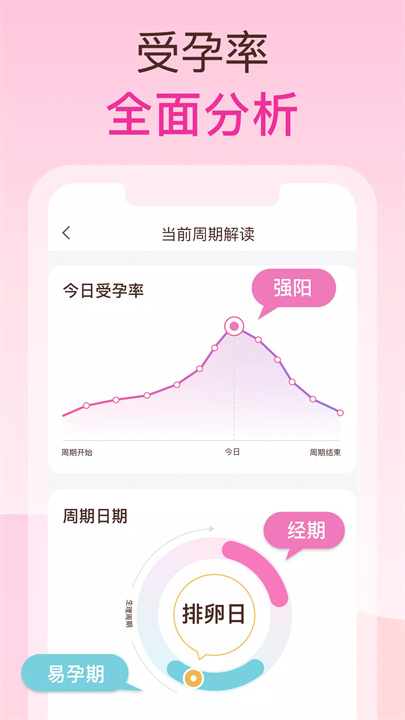 femometer软件4