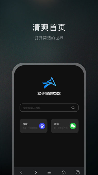 双子星浏览器app2