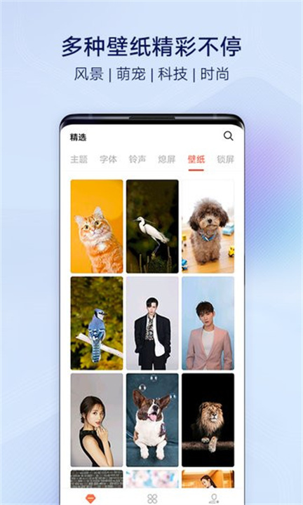 vivo主题降级软件4
