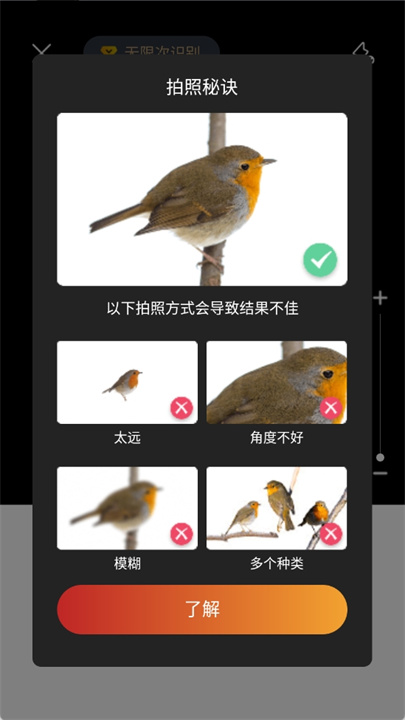 拍照识鸟app