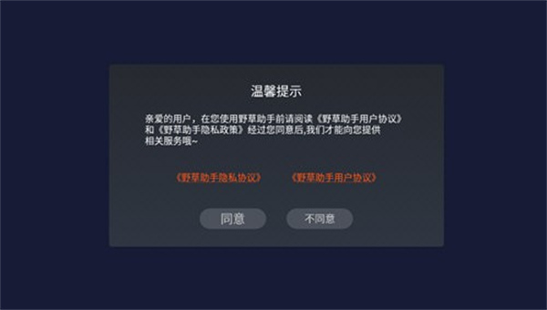野草助手tv版2